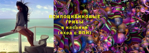 таблы Богородицк