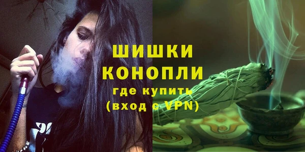 таблы Богородицк