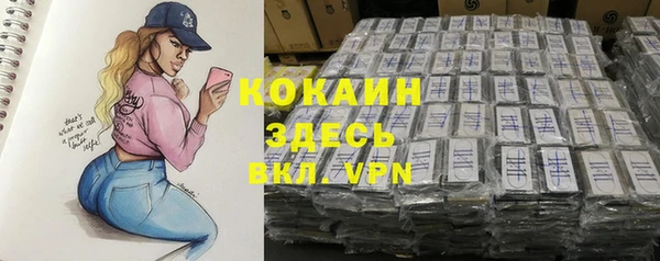 таблы Богородицк